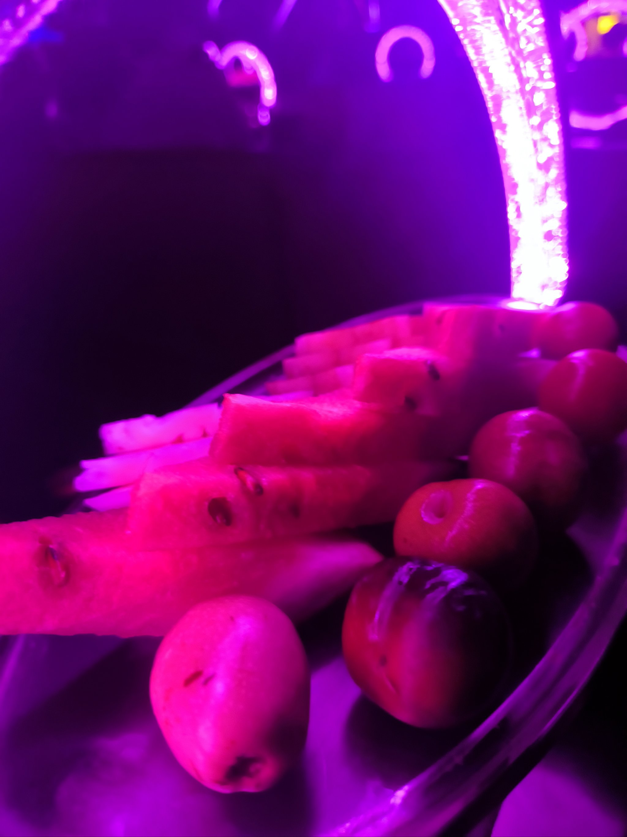 泉州商务ktv模式全新体验-晋江市ktv预定